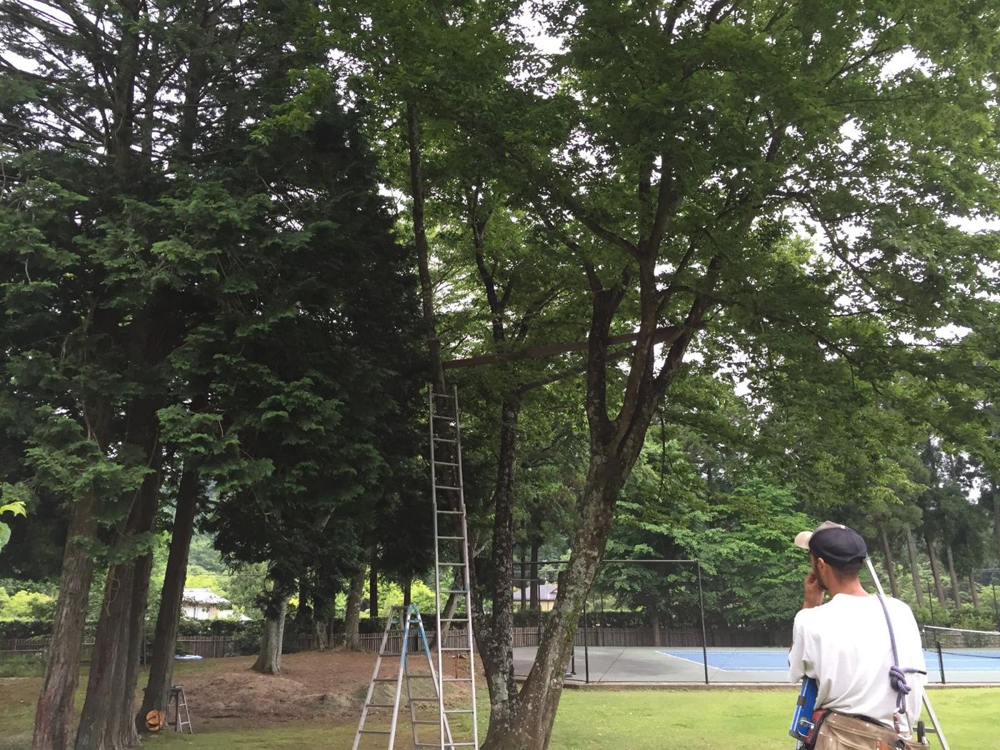 IYB — 飯田善郎ベンヤミンの作品（一枚板の家具・木の空間）